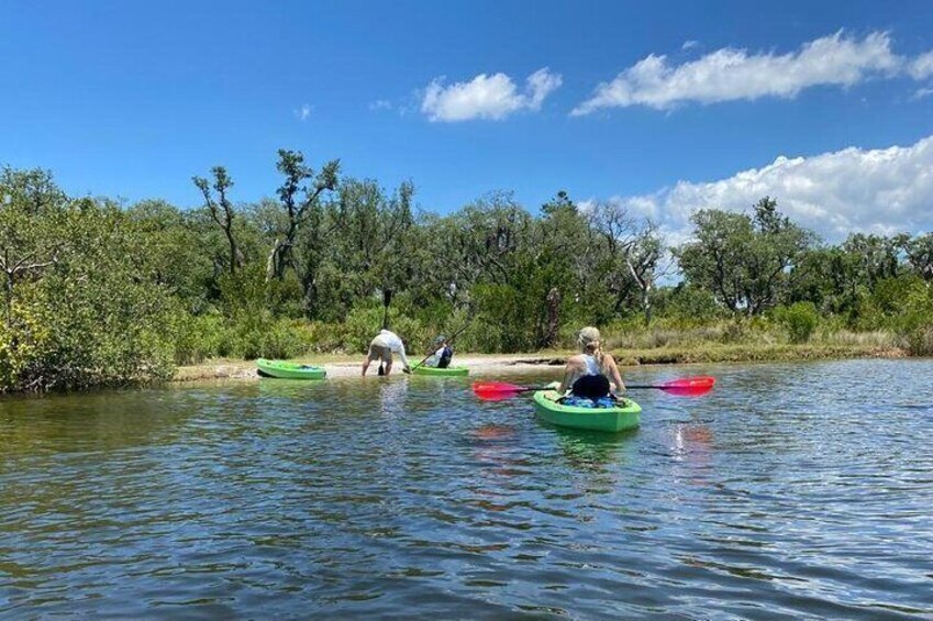 2-Hour Tandem Kayak Tour in Anclote River