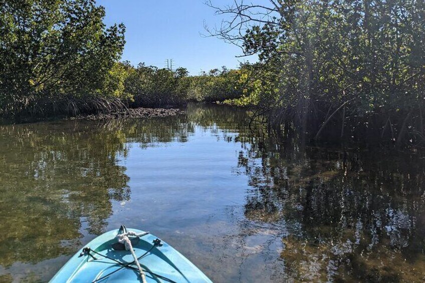 2-Hour Tandem Kayak Tour in Anclote River