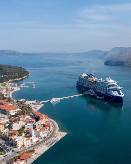 A large cruise ship docked at a port with a cityscape and mountains in the background. 4