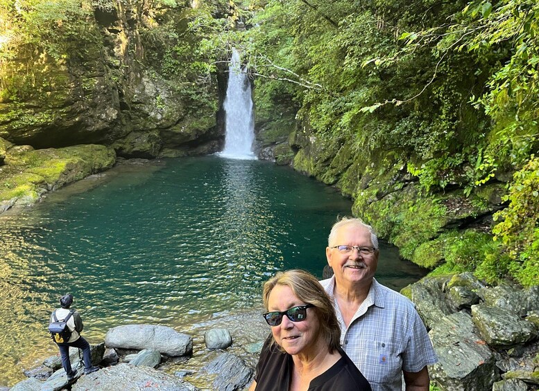 A waterfall in a forested area with a clear pool of water in the foreground. 2