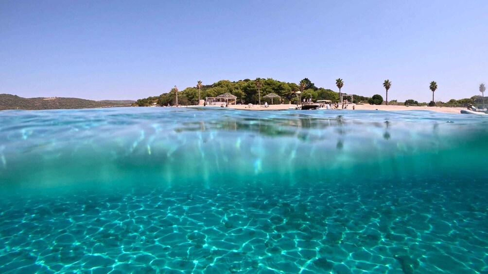 A clear blue sea with a sandy beach and palm trees in the background. 4