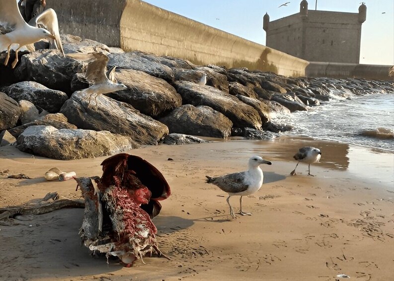 A beach with seagulls, a large rock formation, and a concrete structure in the background. 3