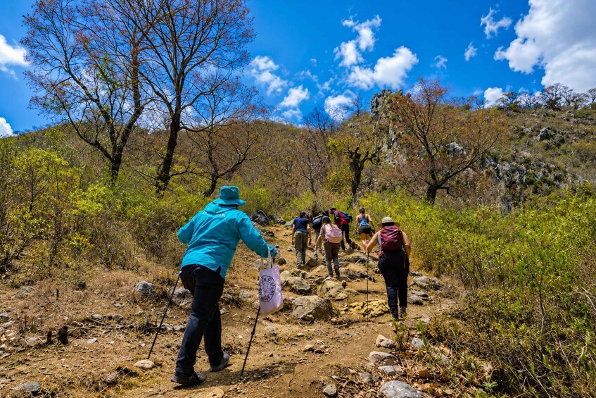 A group of hikers on a rocky trail surrounded by trees and hills. 5