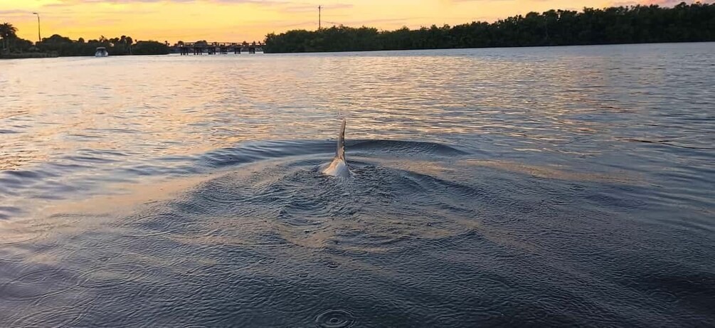 A body of water with a wake pattern indicating movement, a distant shoreline with trees, and a sunset sky. 1