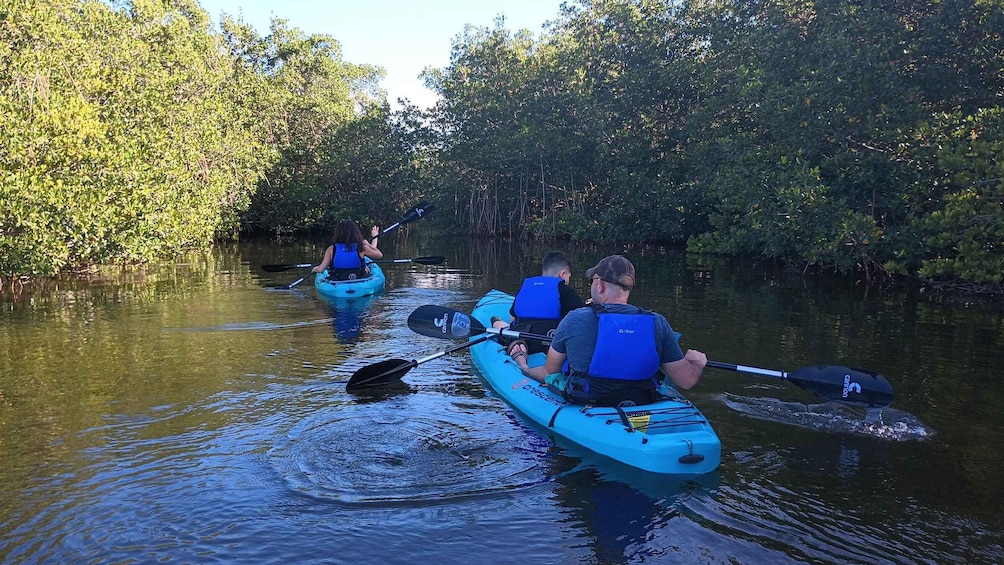 Picture 16 for Activity Cocoa Beach/Merritt Island: Guided Dolphin and Manatee Tour 4
