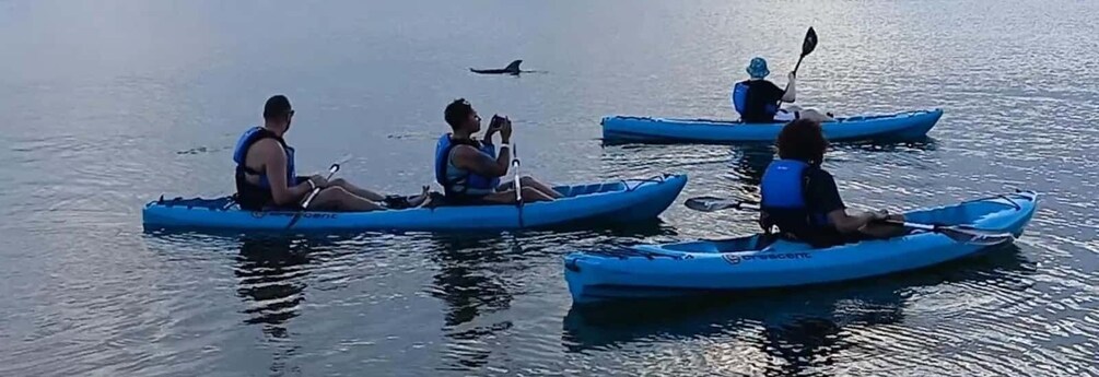 Three people kayaking on calm water. 2