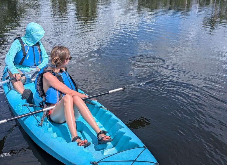 Two people in a blue kayak on calm water. 3