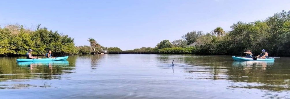 Two kayaks on a calm river with dense foliage on both sides. 1