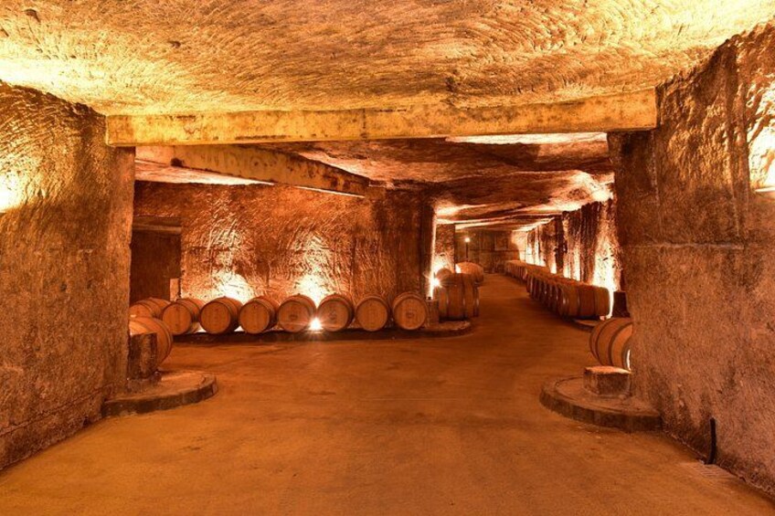 Private Tour in Saint-Emilion: Underground Monuments and Grands Crus Tasting 1