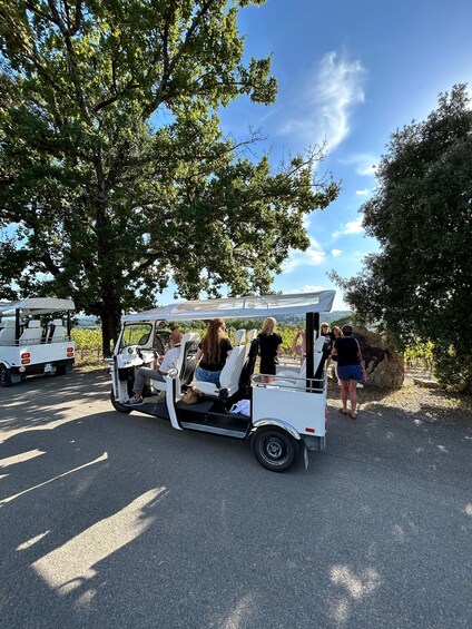A golf cart with passengers, parked near a tree-lined path. 2