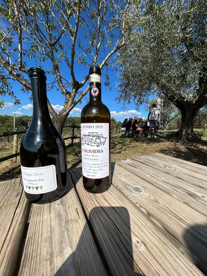 Two wine bottles on a wooden table with a tree and people in the background. 3