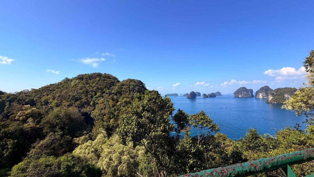 A coastal landscape with dense forest, a clear blue sky, and several small islands in the distance. 3