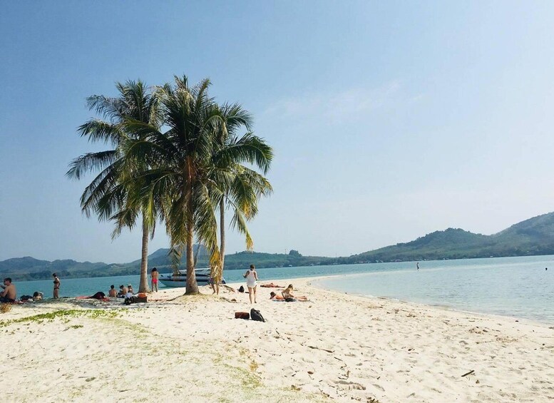 A beach with palm trees, people sunbathing, and a calm sea. 2