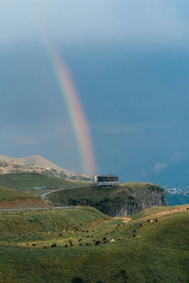 Picture 6 for Activity Tbilisi: Kazbegi Day Trip and Gergeti Trinity Church 2