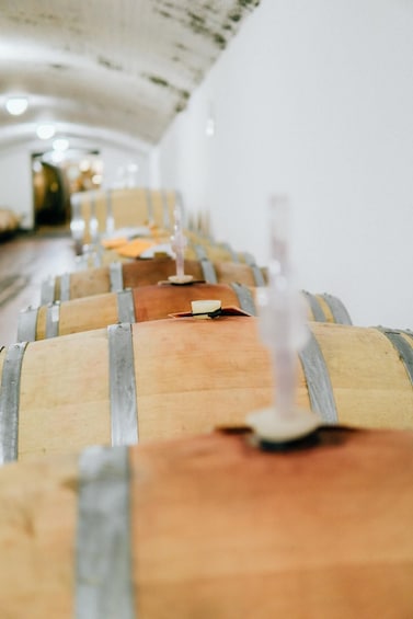 Wooden barrels lined up in a row, likely in a storage or aging facility. 2