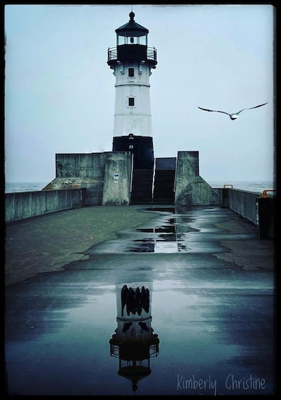 A lighthouse with a seagull flying nearby, a wet reflective surface, and a person sitting on a bench. 4