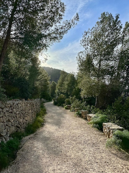 A gravel path flanked by stone walls and dense trees. 3