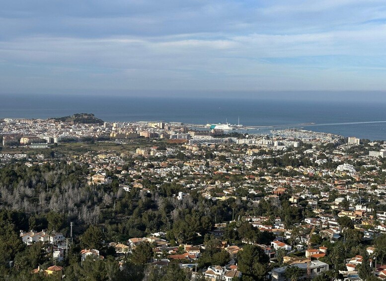 A coastal cityscape with dense residential areas, a prominent hill, and a large cruise ship docked at the port. 2