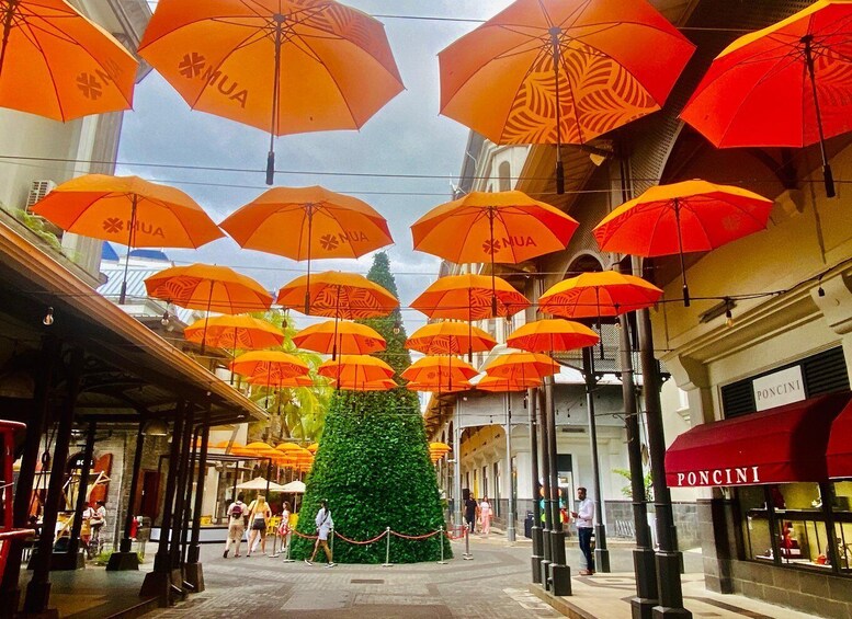 A street with orange umbrellas hanging overhead, a Christmas tree, and storefronts including Poncini. 5