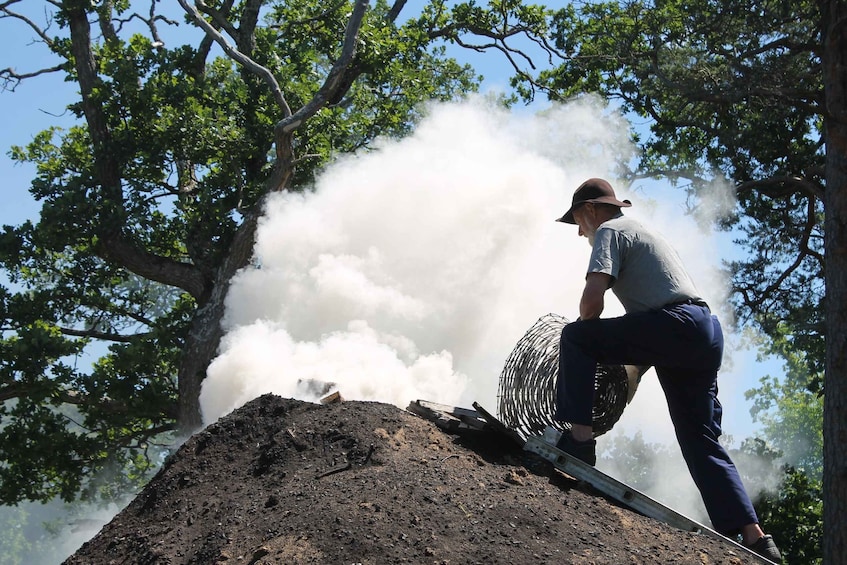 A person standing on a mound with a large cloud of smoke or dust around them, surrounded by trees. 4