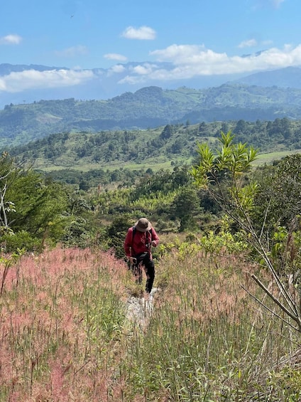 A hiker in a red jacket on a trail with lush greenery and distant mountains. 5