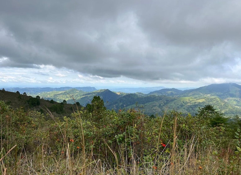 A mountainous landscape with dense vegetation and a cloudy sky. 4
