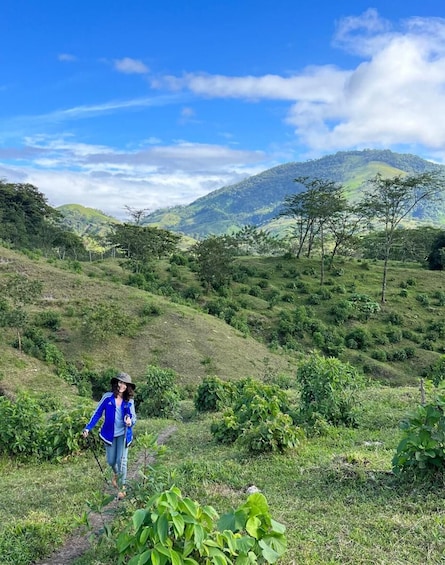 A person hiking on a grassy hillside with lush greenery and distant mountains under a clear sky. 3
