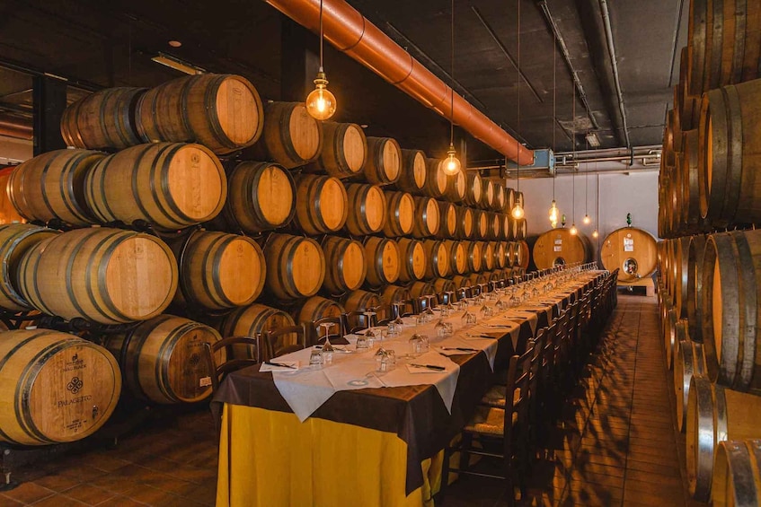 A wine cellar with rows of wooden barrels and a long table set for a tasting. 5