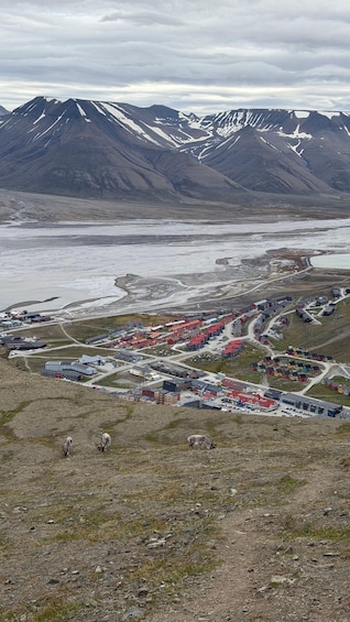 Picture 6 for Activity Longyearbyen: Iconic Hike to Platåfjellet 2
