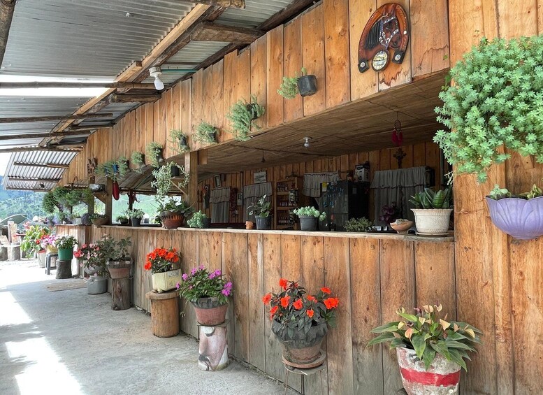 A wooden building with a corrugated metal roof, potted plants, and a rustic interior. 4
