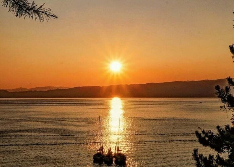 Picture 41 for Activity Dubrovnik: Elafiti Islands&Blue Cave Boat Tour with Sunset 5