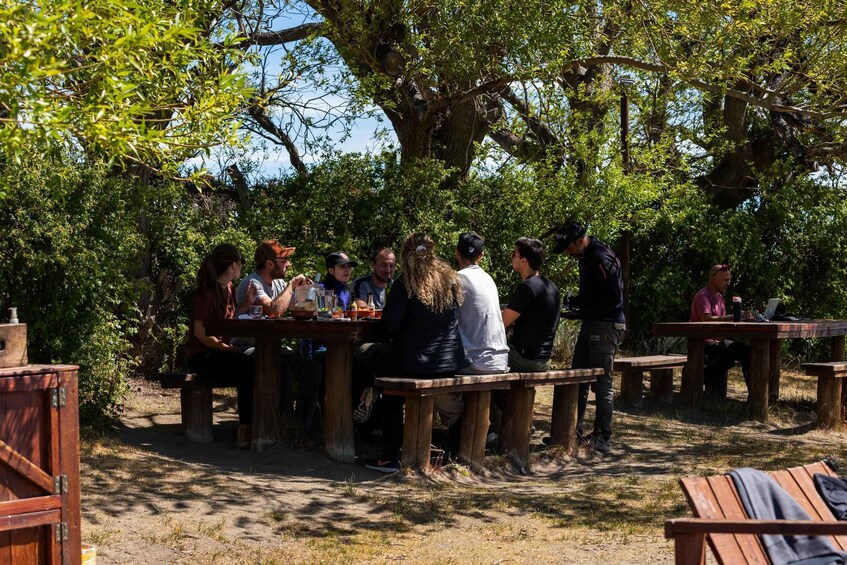 People sitting at wooden picnic tables outdoors, surrounded by trees. 4