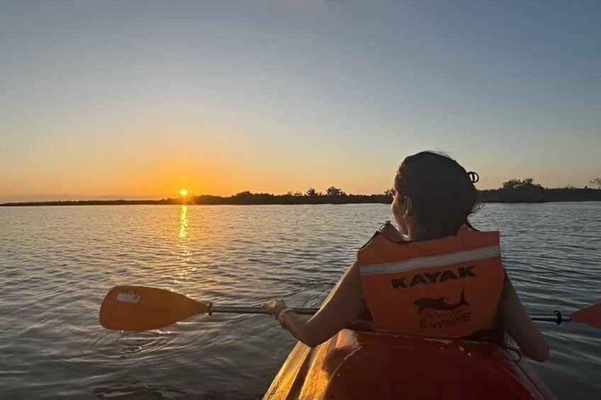 Holbox mangrove kayak tour 4