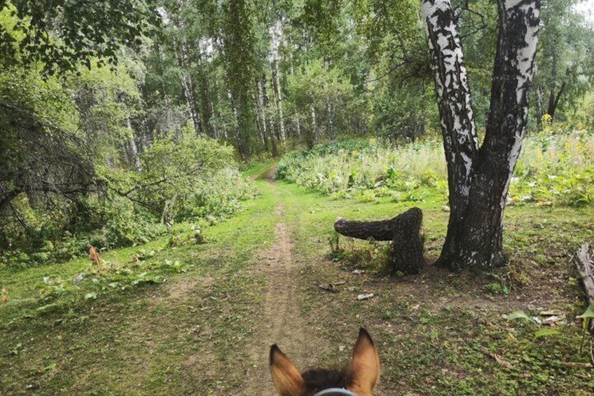 Scenic Horseback Riding Experience in Ile-Alatau National Park 3