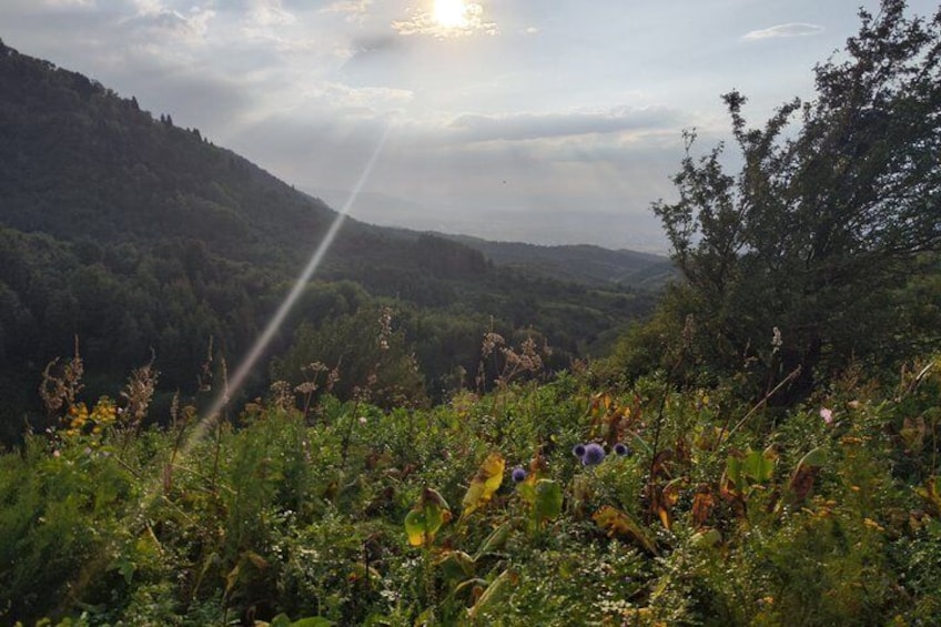 Scenic Horseback Riding Experience in Ile-Alatau National Park 2