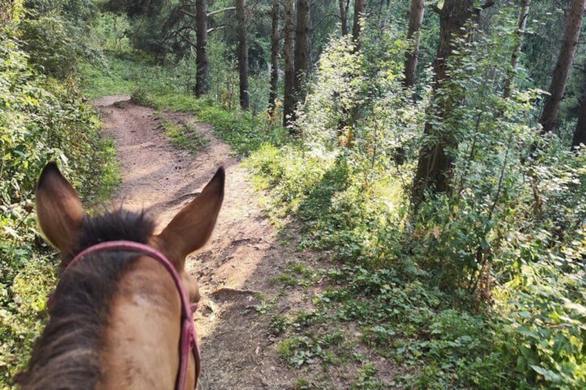 Scenic Horseback Riding Experience in Ile-Alatau National Park 3
