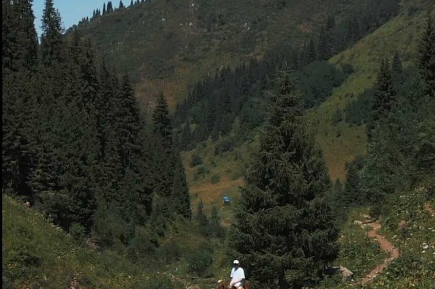 Scenic Horseback Riding Experience in Ile-Alatau National Park 2