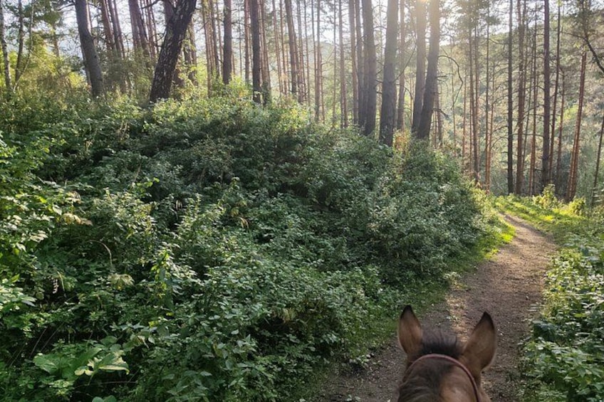 Scenic Horseback Riding Experience in Ile-Alatau National Park 4