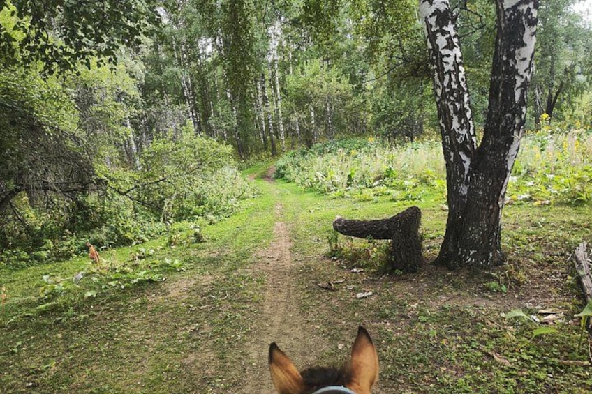Scenic Horseback Riding Experience in Ile-Alatau National Park 3