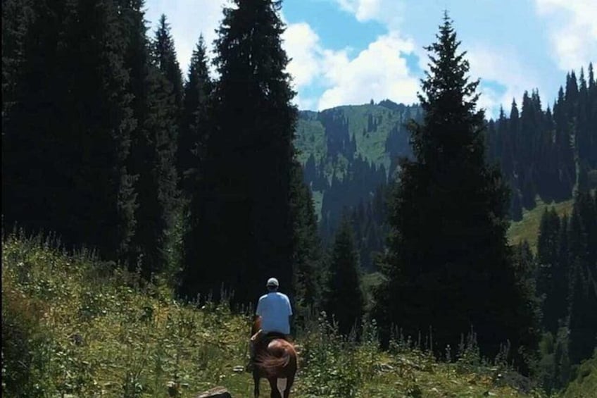Scenic Horseback Riding Experience in Ile-Alatau National Park 4