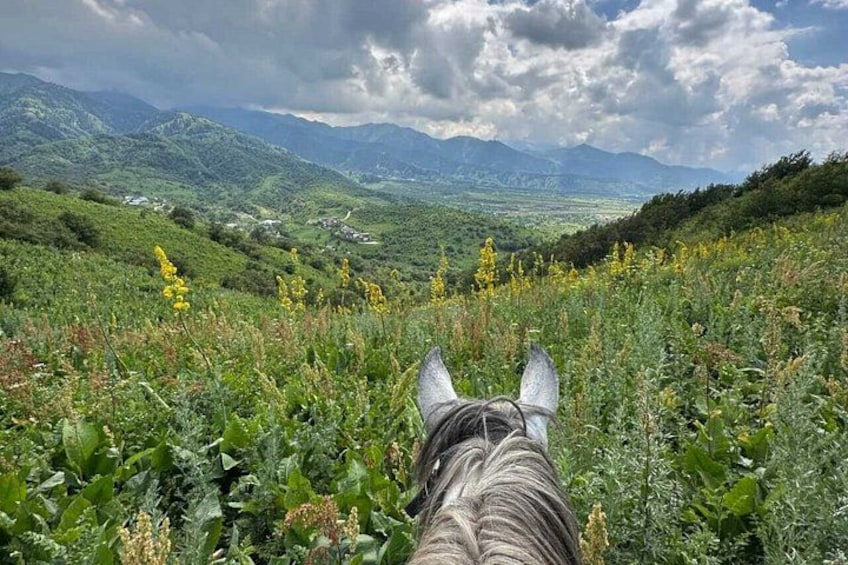 Scenic Horseback Riding Experience in Ile-Alatau National Park 1