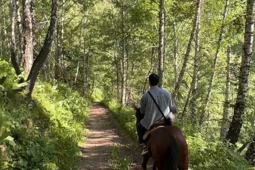 Scenic Horseback Riding Experience in Ile-Alatau National Park 2