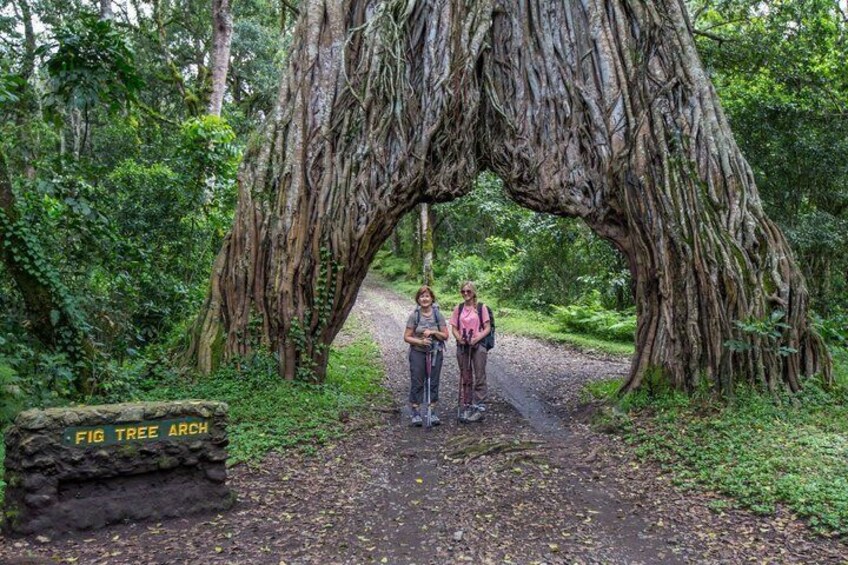 Arusha National Park Full-Day Safari 4