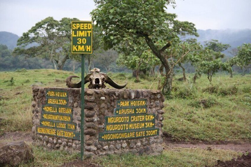 Arusha National Park Full-Day Safari 2