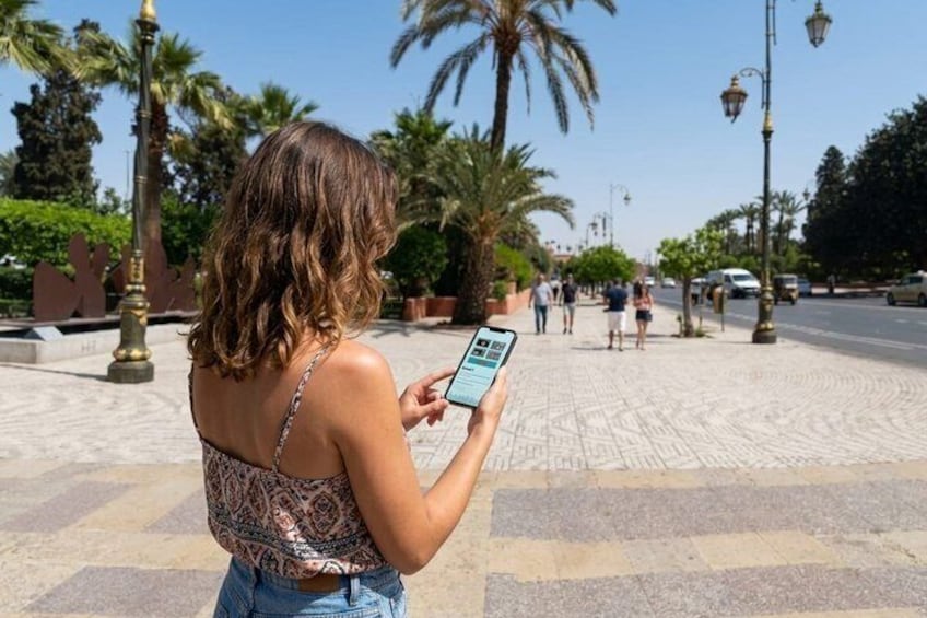 A person using a smartphone on a sunny day in a public square with palm trees and patterned pavement. 5