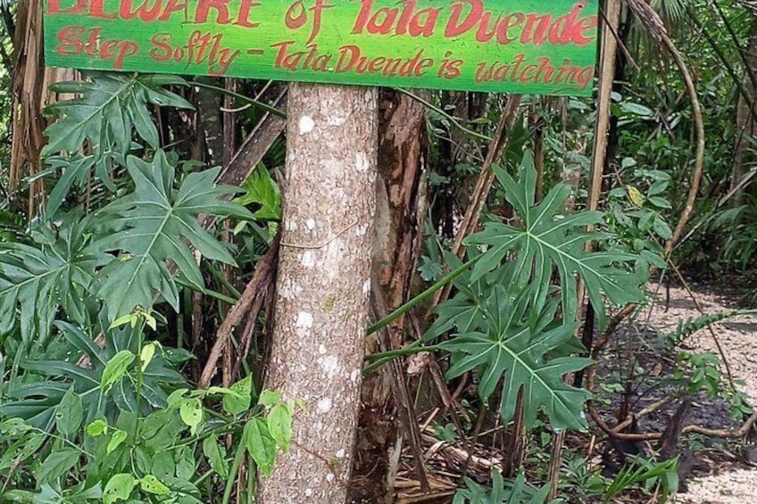 Tatduende Folklore Experience and Ceiba Trail 1