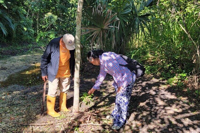 Tatduende Folklore Experience and Ceiba Trail 2