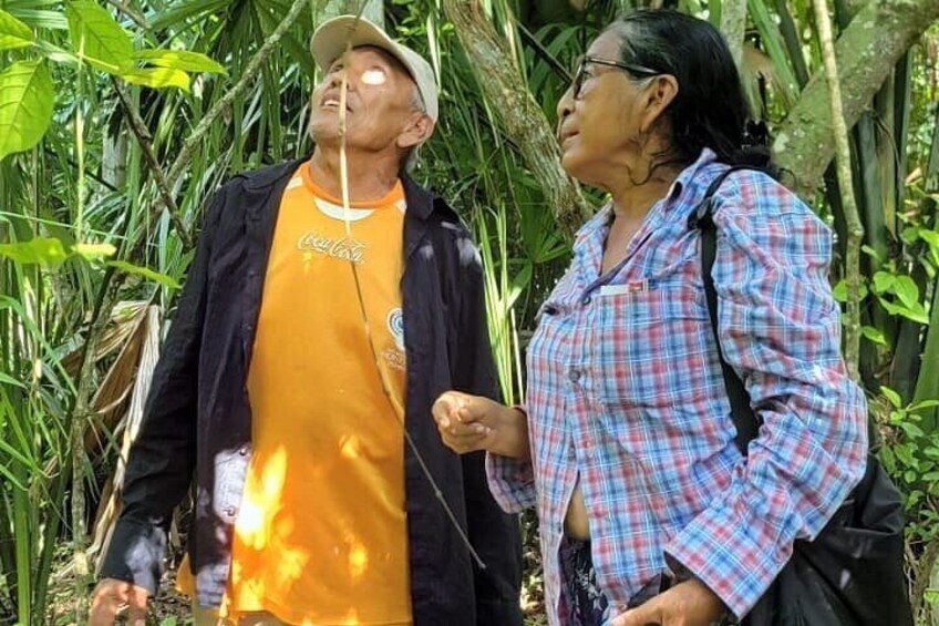 Tatduende Folklore Experience and Ceiba Trail 2