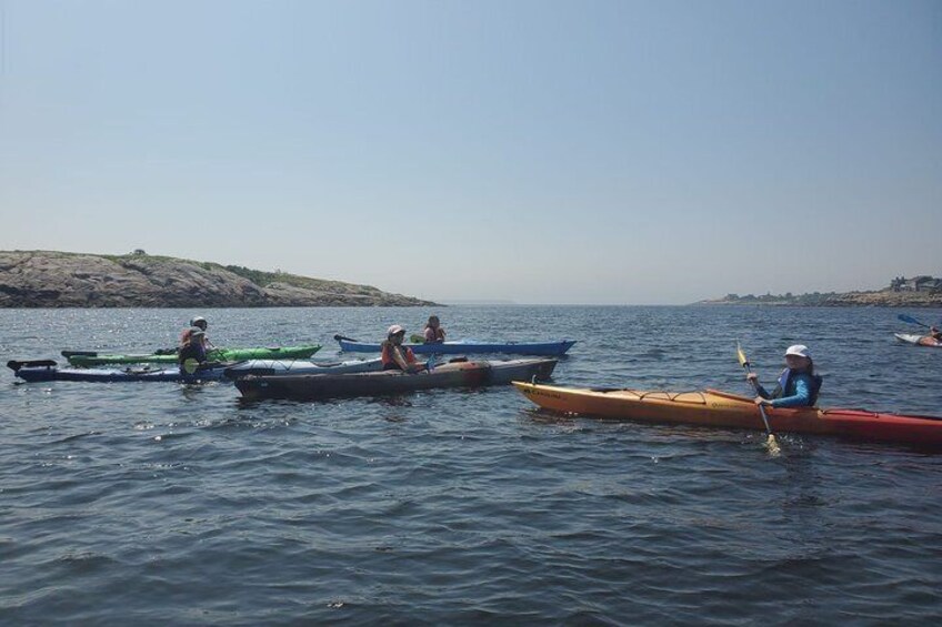 Personas remando en kayak sobre aguas tranquilas, con una costa rocosa al fondo. 2
