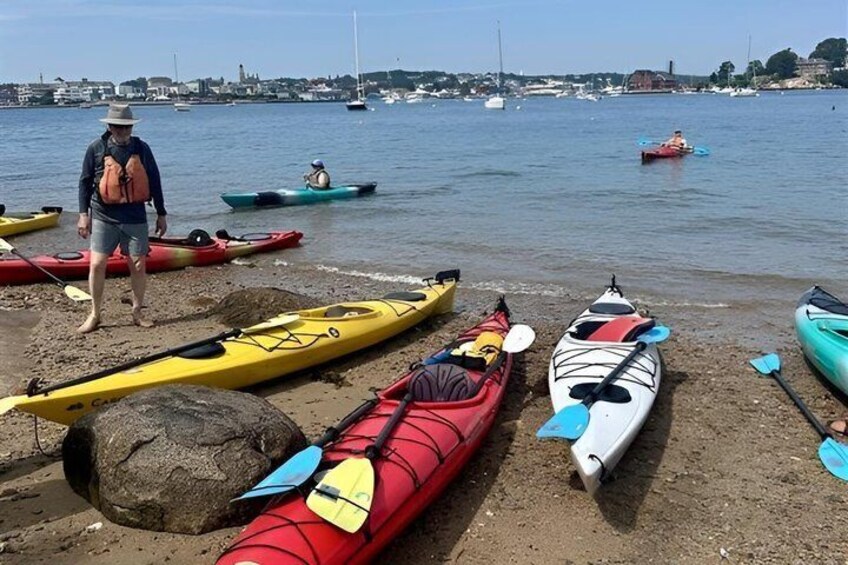 Una playa con kayaks alineados y una persona de pie cerca. 3